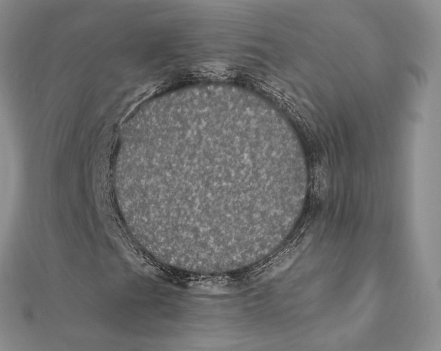 X0000112351201200909031842