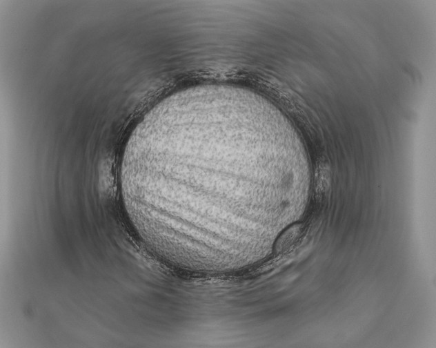 X0000112351202200909031842