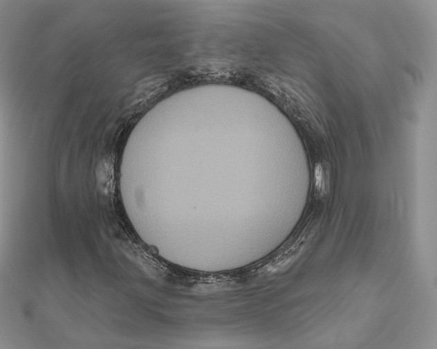 X0000112351203200909031842