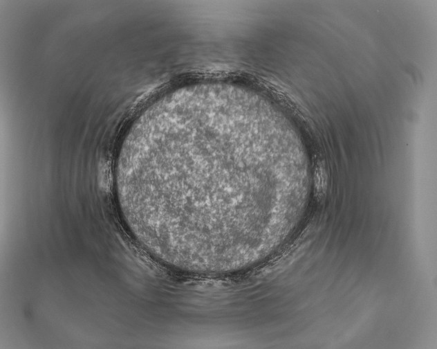 X0000112351204200909031842