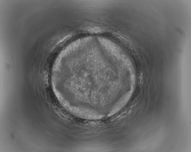 X0000112351205200909031842