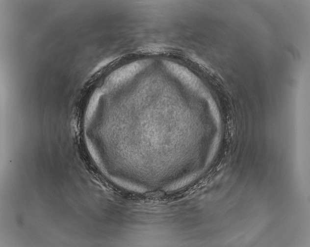 X0000112351206200909031842