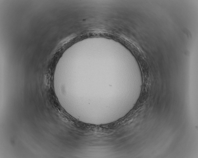 X0000112351207200909031842