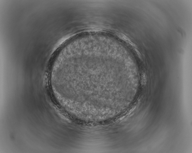 X0000112351208200909031842