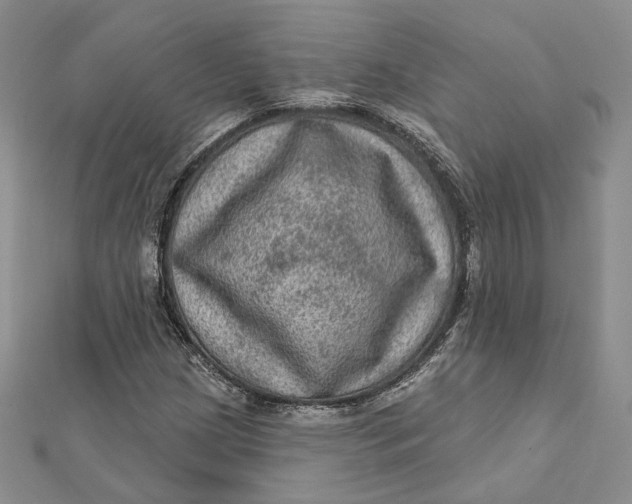 X0000112351209200909031842