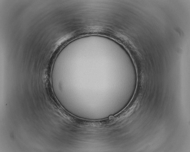 X0000112351210200909031842