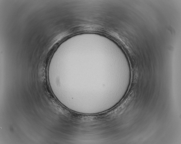 X0000112351211200909031842