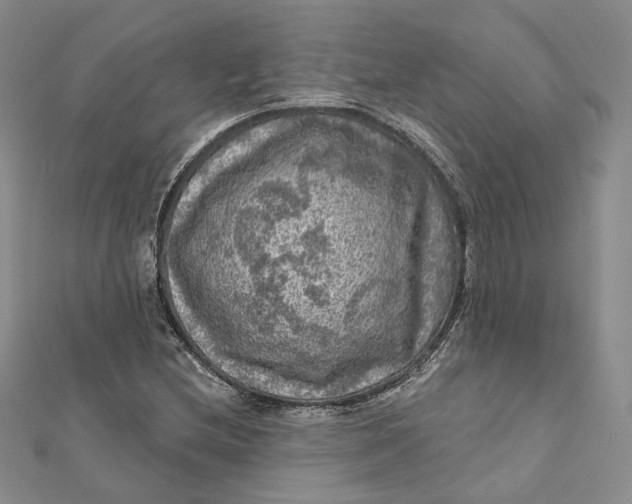 X0000112351212200909031842