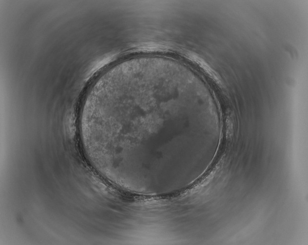 X0000112351213200909031842