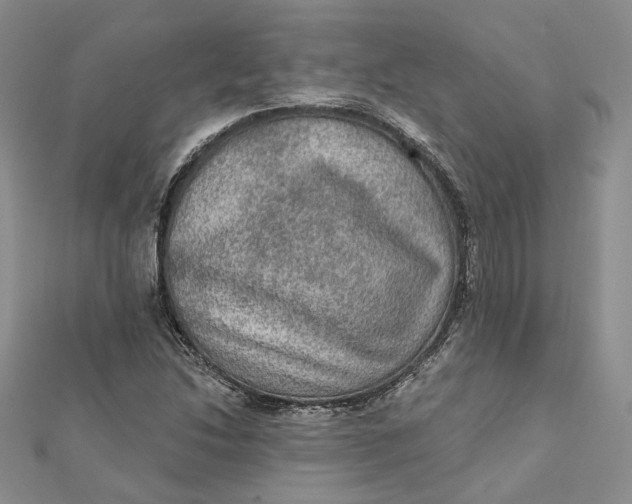 X0000112351214200909031842