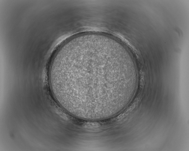 X0000112351215200909031842