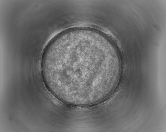 X0000112351216200909031842