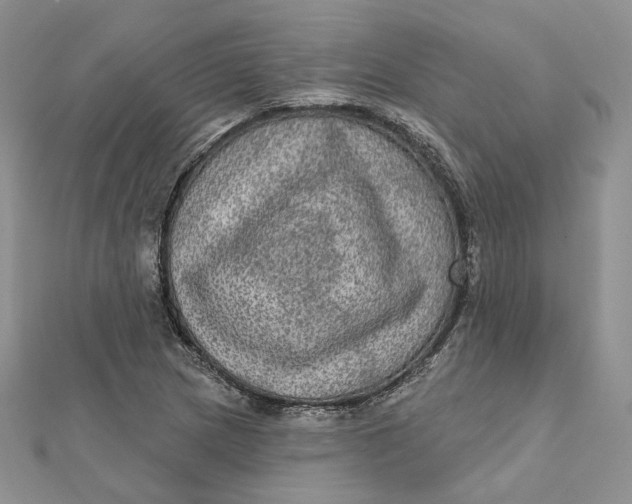 X0000112351217200909031842