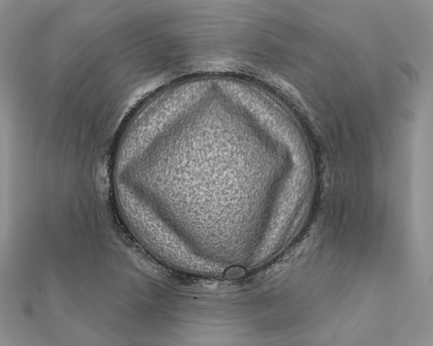 X0000112351218200909031842