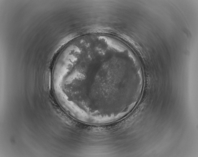 X0000112351219200909031842