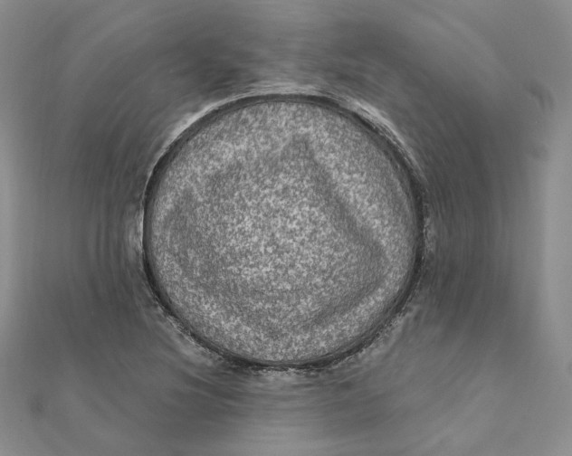 X0000112351220200909031842