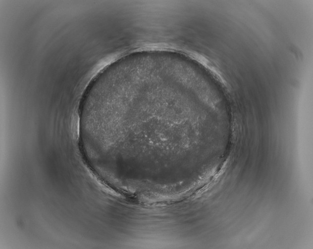 X0000112351221200909031842