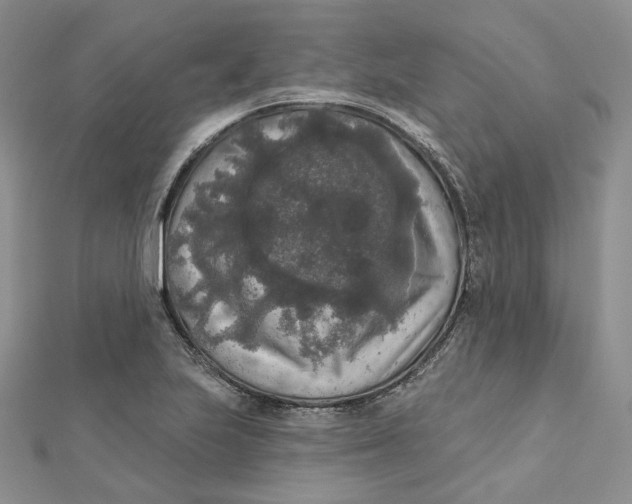 X0000112351223200909031842