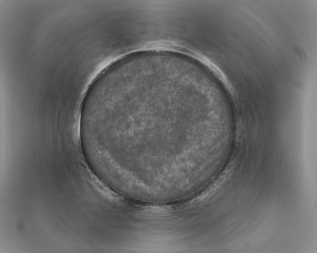 X0000112351224200909031842