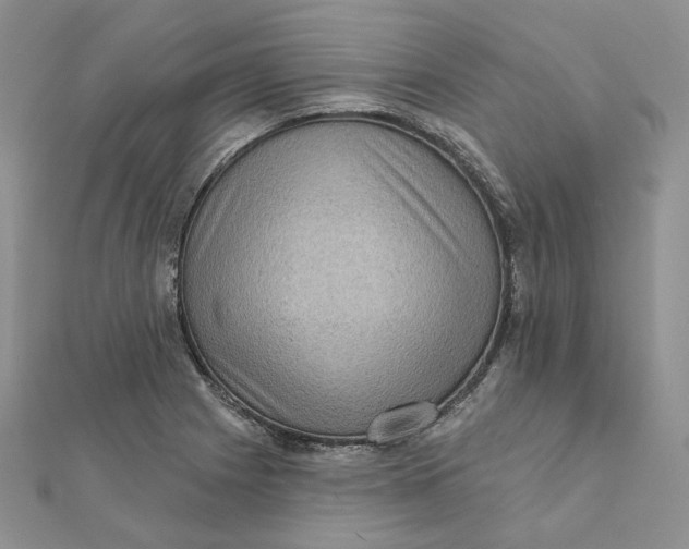 X0000112351225200909031842