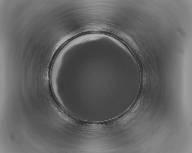 X0000112351226200909031842