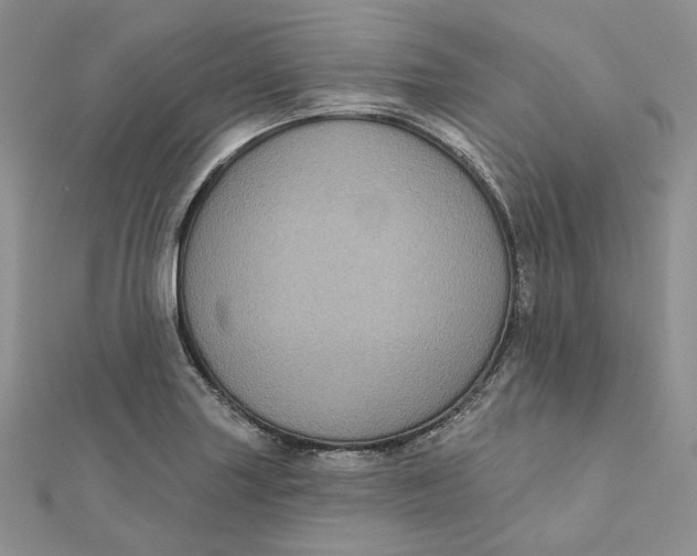 X0000112351227200909031842