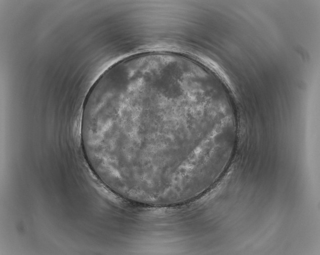 X0000112351228200909031842