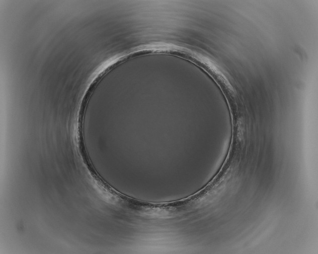 X0000112351229200909031842