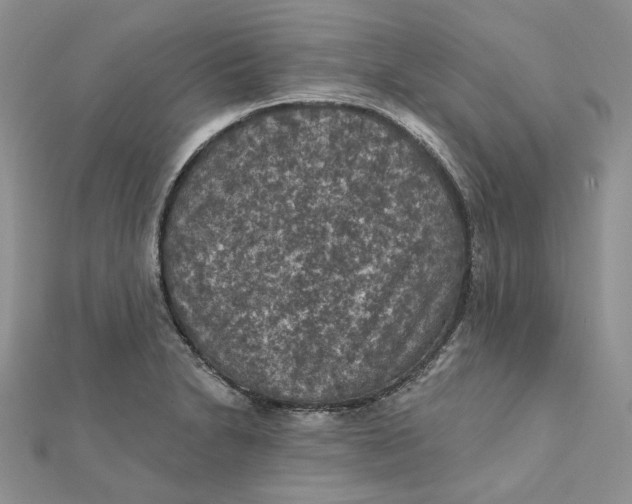 X0000112351230200909031842