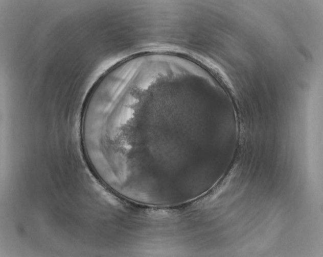 X0000112351231200909031842