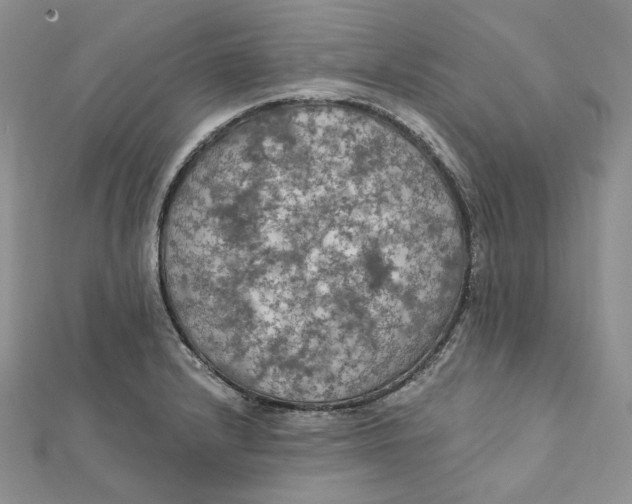 X0000112351232200909031842