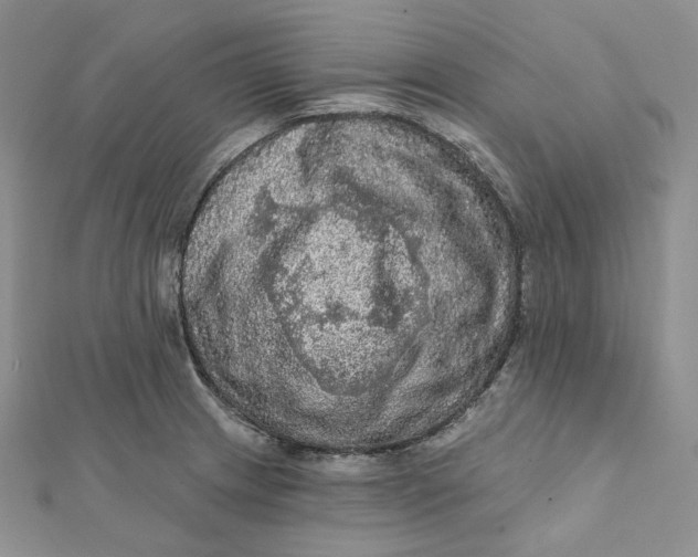 X0000112351233200909031842