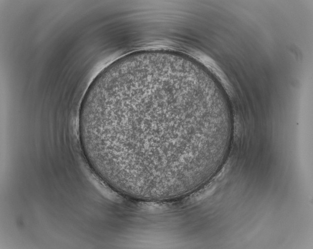 X0000112351234200909031842