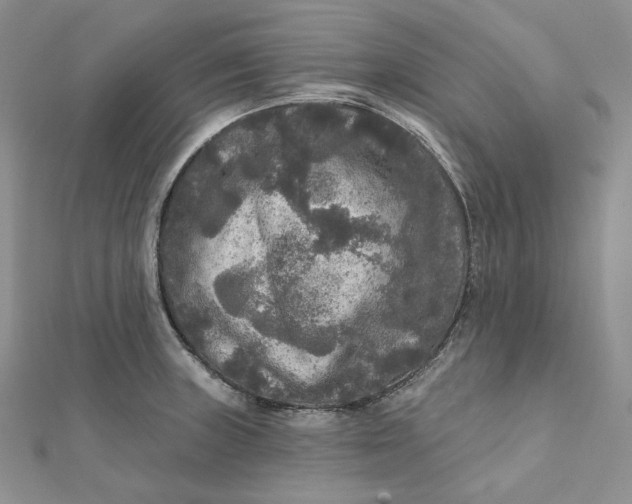 X0000112351235200909031842