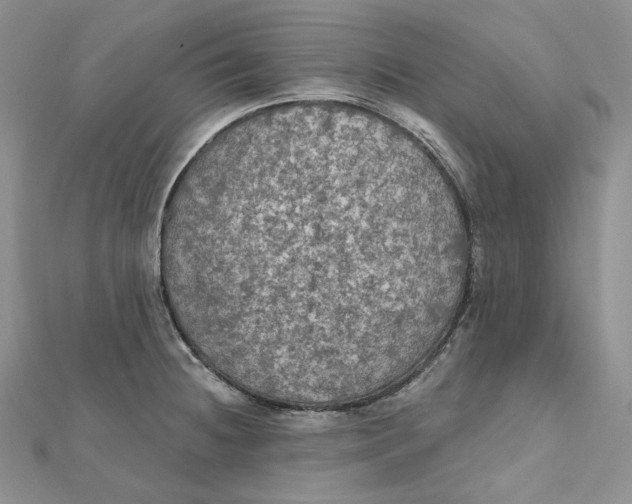 X0000112351236200909031842