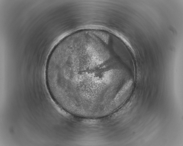 X0000112351237200909031842