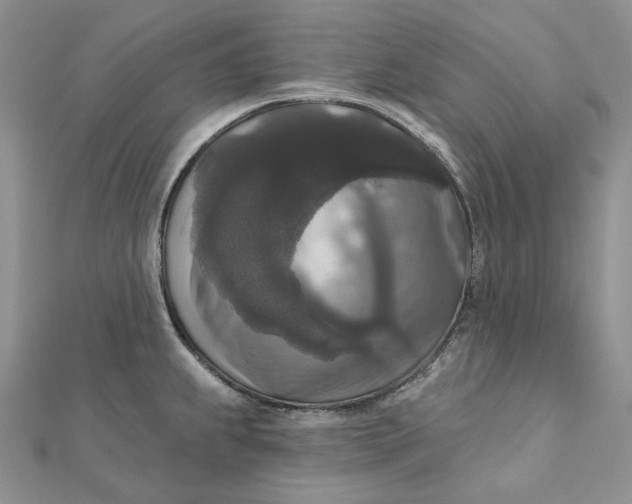 X0000112351239200909031842