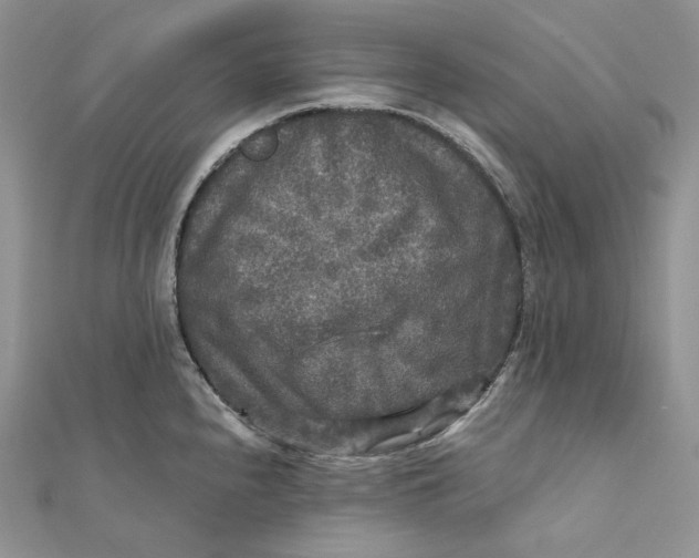 X0000112351240200909031842