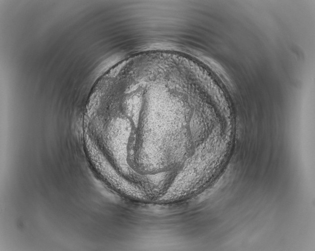 X0000112351241200909031842