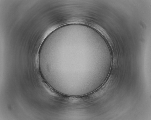 X0000112351242200909031842