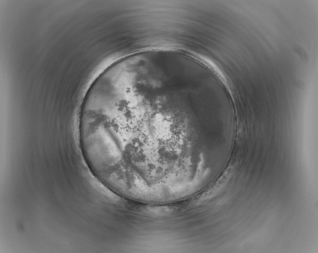 X0000112351243200909031842