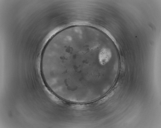 X0000112351245200909031842