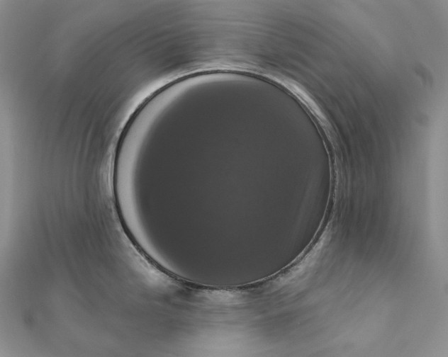 X0000112351246200909031842