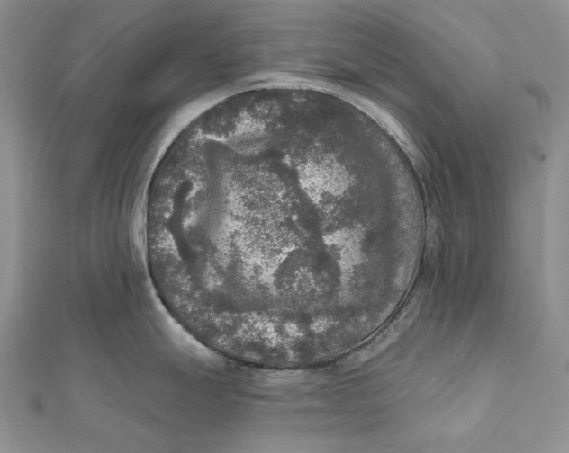 X0000112351247200909031842