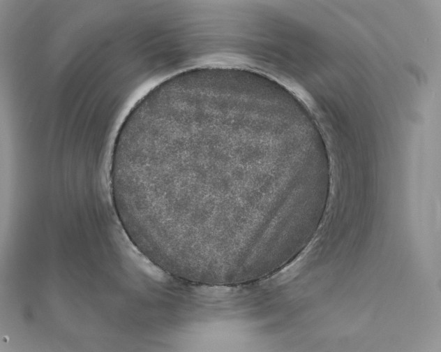 X0000112351248200909031842