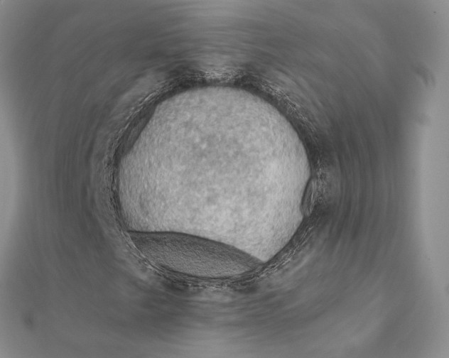 X0000112351249200909031842