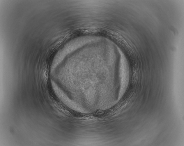 X0000112351250200909031842