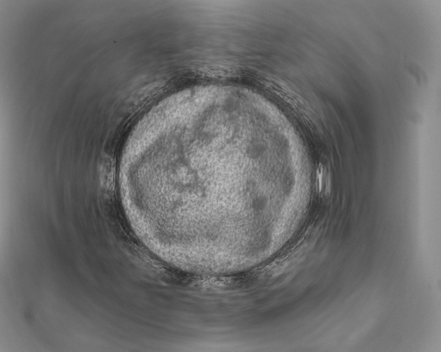 X0000112351251200909031842