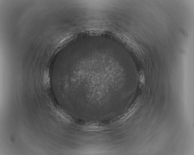 X0000112351252200909031842