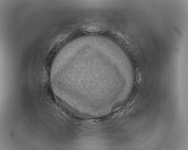 X0000112351253200909031842